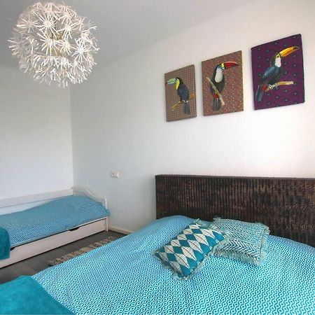 Appartement Au Berceau des Cigognes à Sélestat Extérieur photo