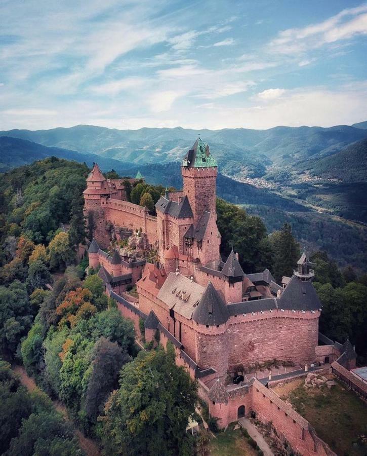 Appartement Au Berceau des Cigognes à Sélestat Extérieur photo